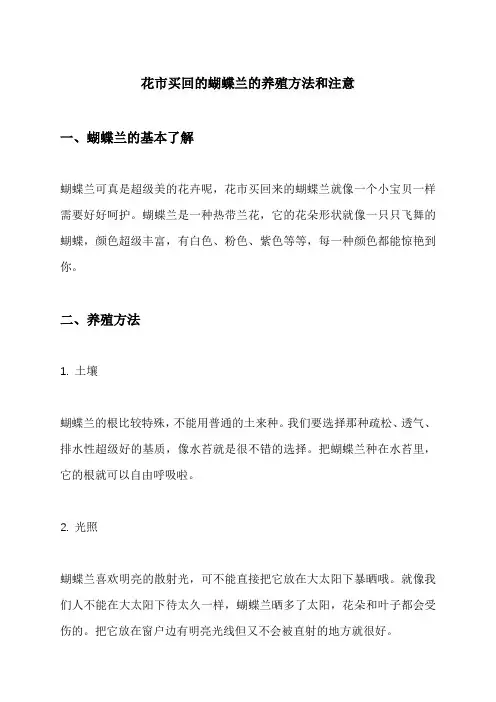 花市买回的蝴蝶兰的养殖方法和注意