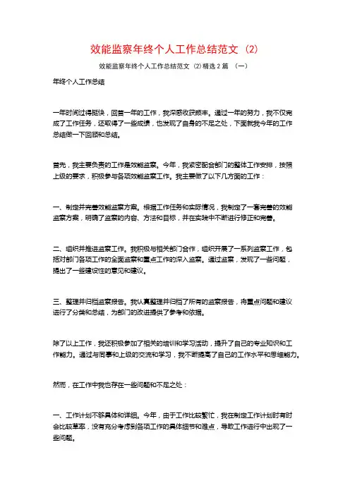 效能监察年终个人工作总结范文 (2)2篇