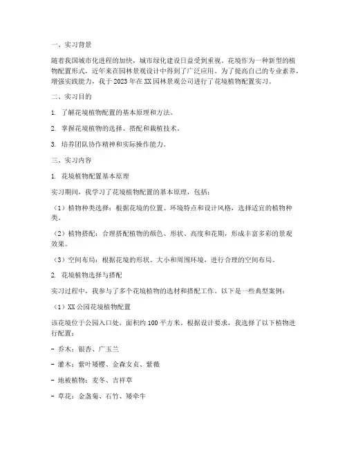 花境植物配置实习报告