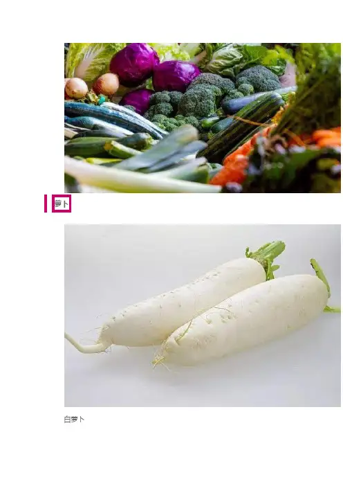 常见的100种蔬菜名称图片