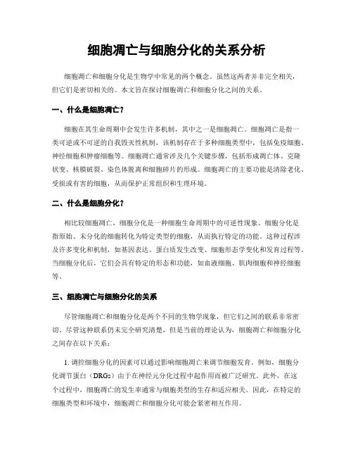 细胞凋亡与细胞分化的关系分析