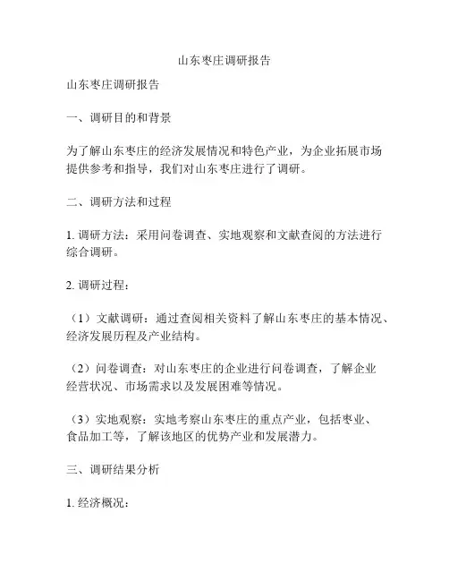 山东枣庄调研报告