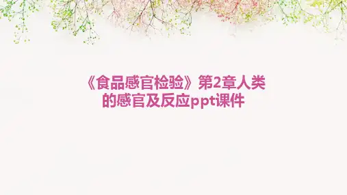 《食品感官检验》第2章人类的感官及反应PPT课件