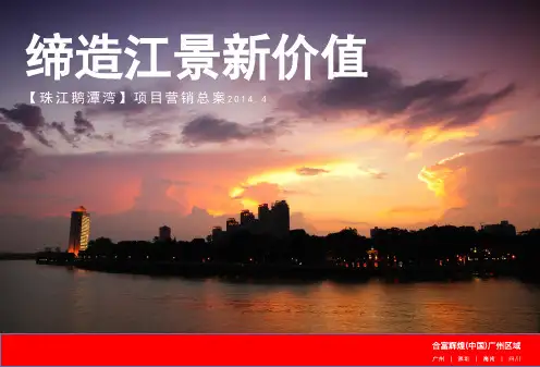 珠实金蝶项目策划报告