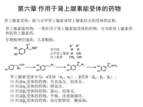 药物化学拟肾上腺素药和抗肾上腺素药ppt