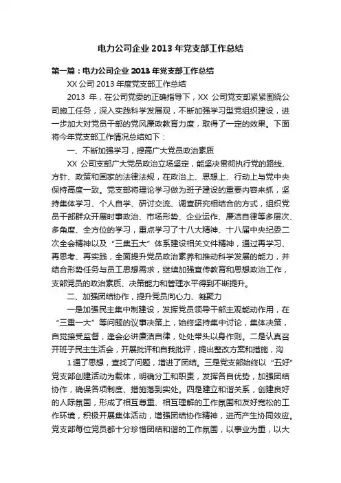 电力公司企业2013年党支部工作总结