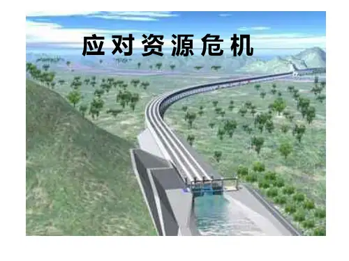应对资源危机ppt课件