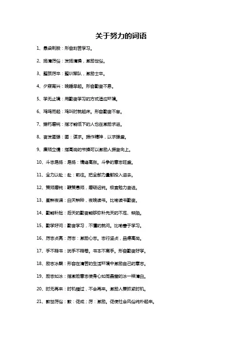 关于努力的词语
