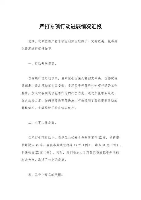 严打专项行动进展情况汇报