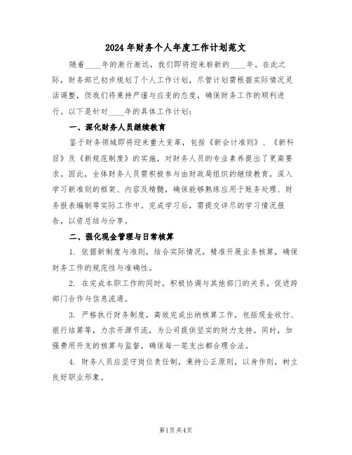 2024年财务个人年度工作计划范文（二篇）