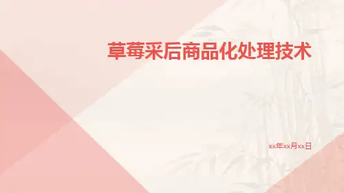 草莓采后商品化处理技术