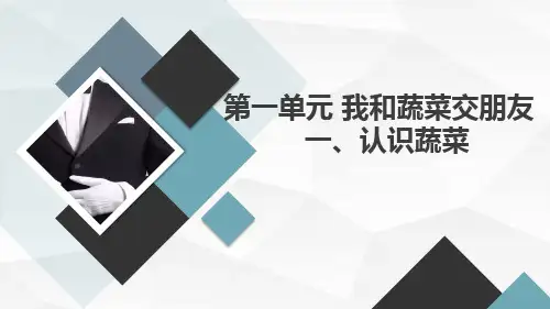 一认识蔬菜(课件)二年级下册综合实践活动