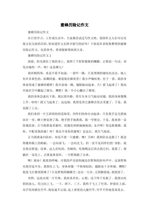 蜜蜂历险记作文