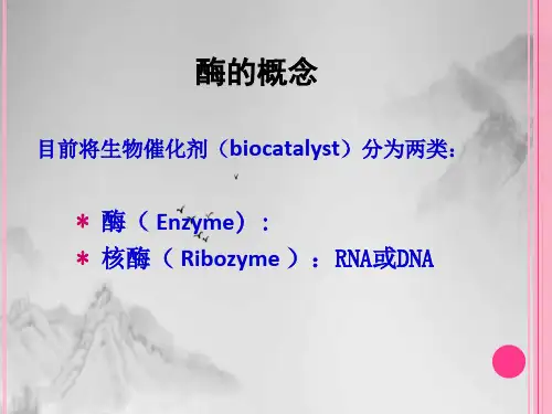 生物化学生物化学生物化学酶讲课PPT