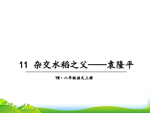 语文版八年级语文上册教学课件11 杂交水稻之父——袁隆平 (共27张PPT)