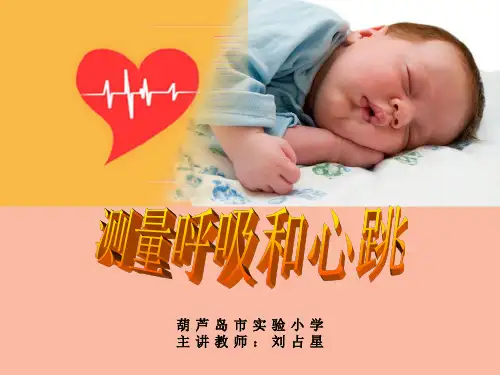 苏教版科学五年级上册1.测量呼吸和心跳
