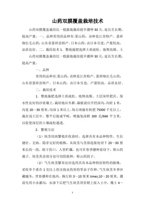 山药双膜覆盖栽培技术