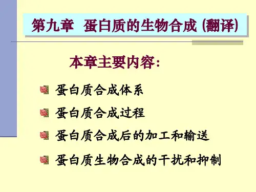 第九章蛋白质的生物合成