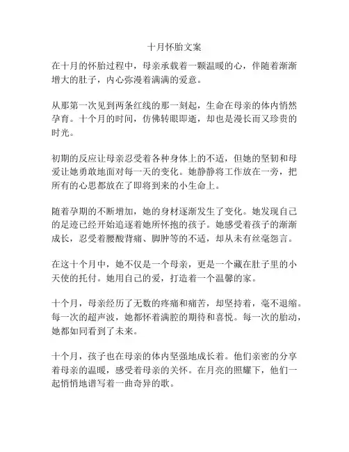 十月怀胎文案
