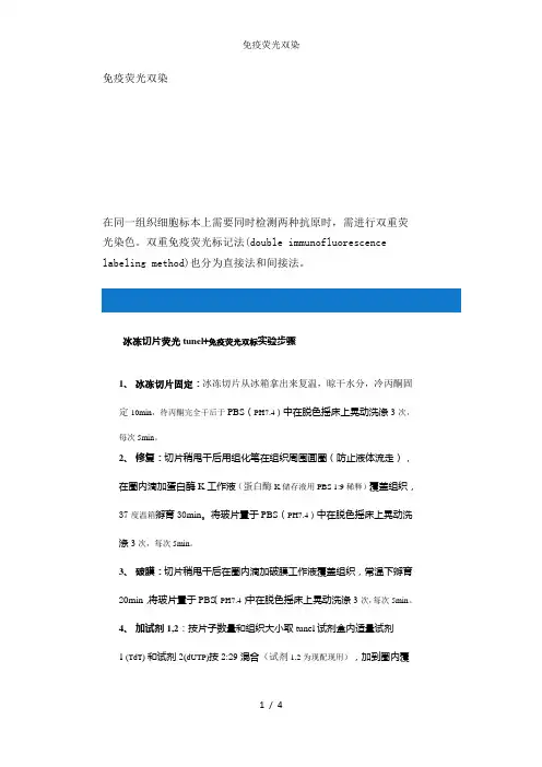 免疫荧光双染
