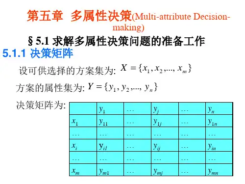 第五讲 多属性决策方法(高级运筹学课件)