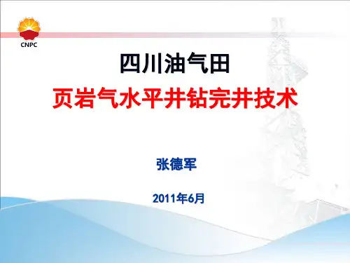 页岩气讲座课件(20110618)