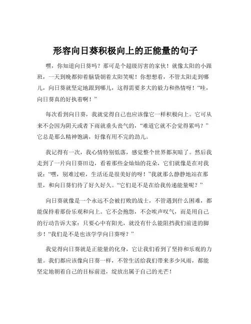 形容向日葵积极向上的正能量的句子