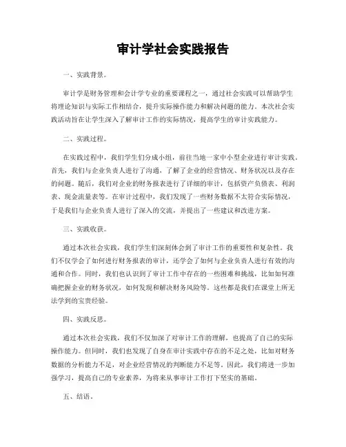 审计学社会实践报告