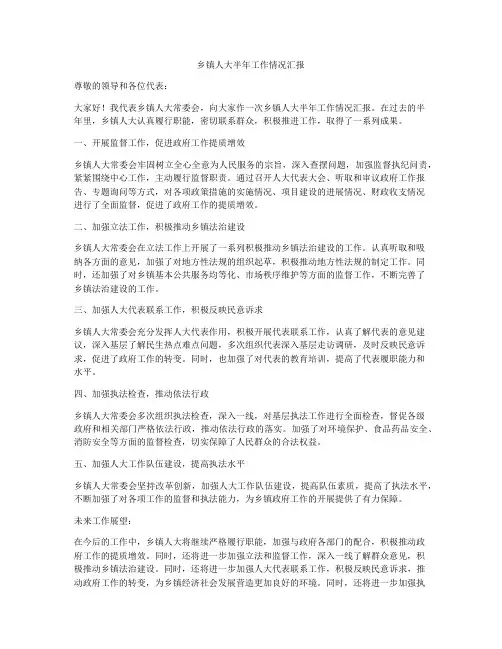 乡镇人大半年工作情况汇报