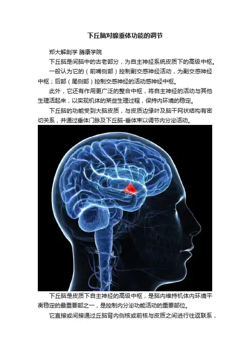 下丘脑对腺垂体功能的调节