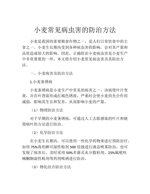 小麦常见病虫害的防治方法
