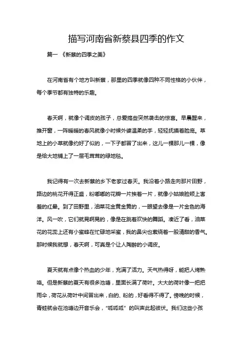 描写河南省新蔡县四季的作文
