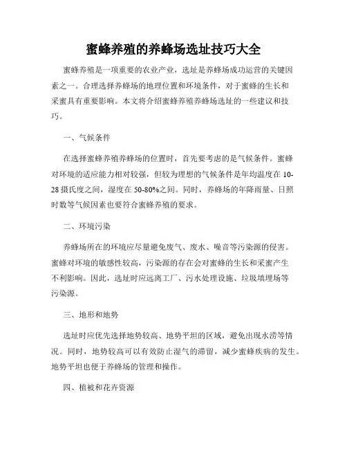 蜜蜂养殖的养蜂场选址技巧大全