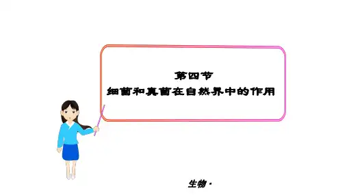 5.细菌和真菌在自然界中的作用课件17张)(人教版生物)