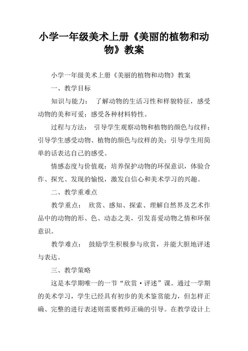 小学一年级美术上册《美丽的植物和动物》教案