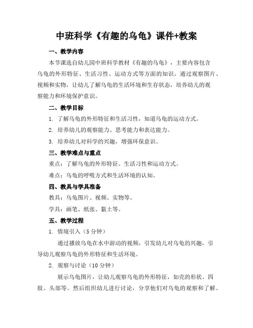 中班科学《有趣的乌龟》课件+教案
