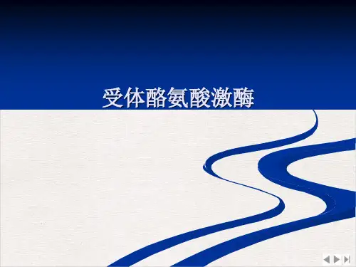 受体酪氨酸激酶ppt课件