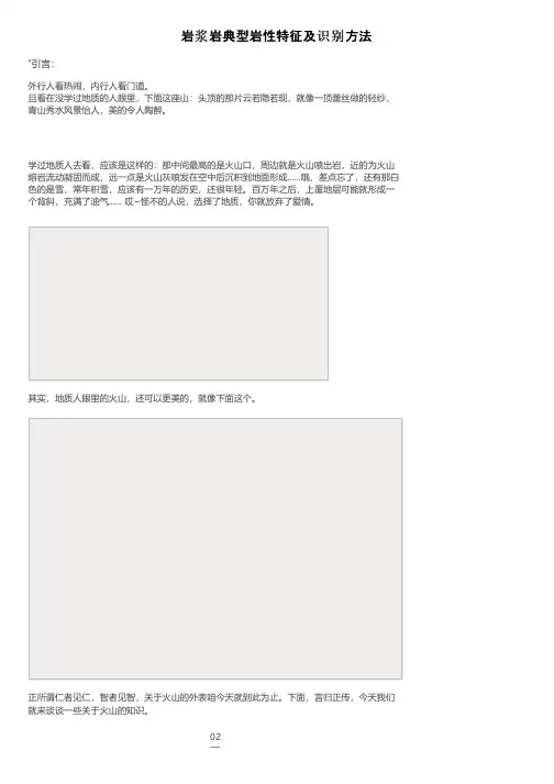 岩浆岩典型岩性特征及识别方法