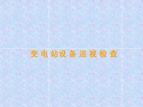 变电站设备巡视检查方法--ppt课件