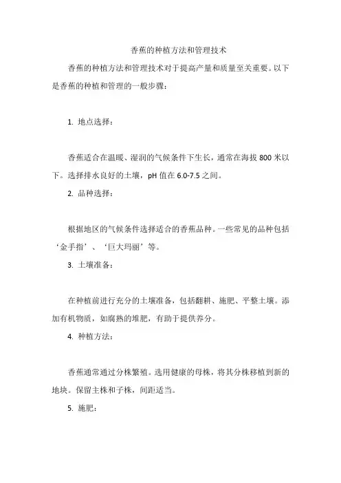 香蕉的种植方法和管理技术