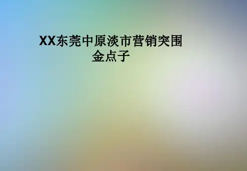 XX东莞中原淡市营销突围金点子