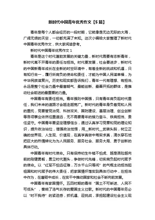 新时代中国青年优秀作文【5篇】
