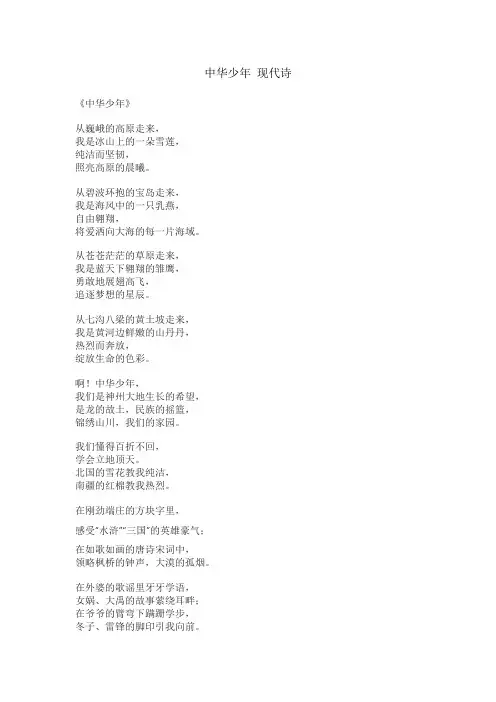 中华少年 现代诗