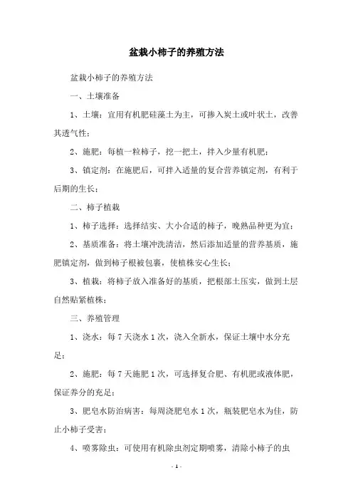 盆栽小柿子的养殖方法