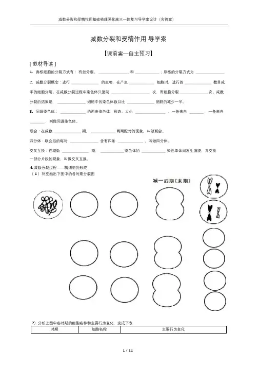 减数分裂和受精作用基础梳理强化高三一轮复习导学案设计(含答案)
