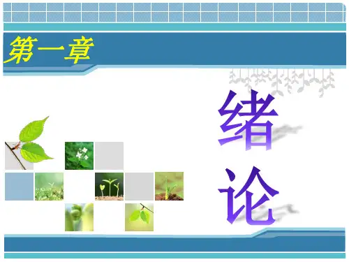 信息组织概述