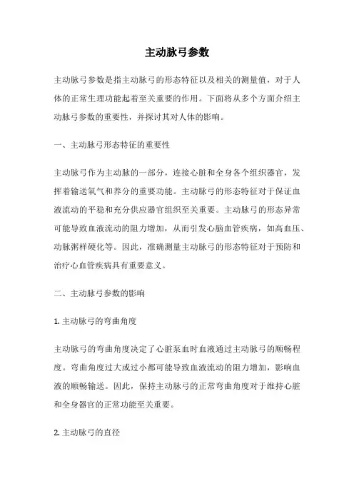 主动脉弓参数