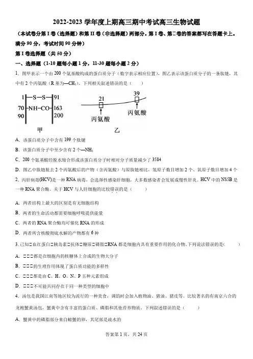 精品解析：河南省周口市项城市第三高级中学2022-2023学年高三上学期期中考试生物试题