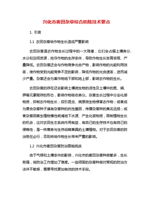 兴化市麦田杂草综合防除技术要点