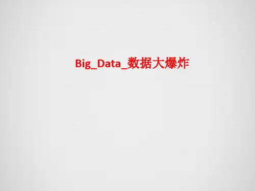 [课件]BigData数据大爆炸PPT